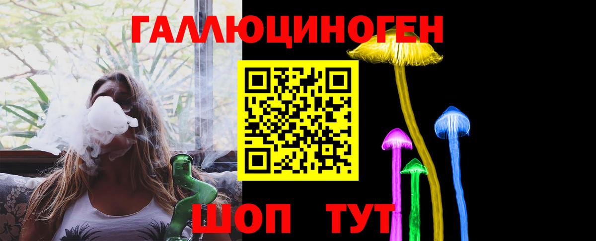 Свободный  Псилоцибиновые грибы Psilocybe  Вход с VPN 